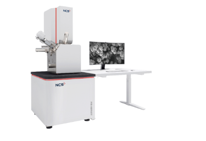 Сканирующий электронный микроскоп FE-1050T.