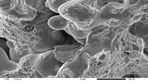 Анализ причин разрыва покрытия подвесного потолка в спортивном зале.