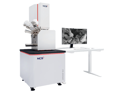 Низковольтное высокоразрешающее полеэмиссионное сканирующее электронное микроскоп FE-2050T.