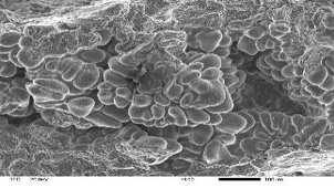 Анализ причин трещин в контактной сети высокоскоростного поезда.