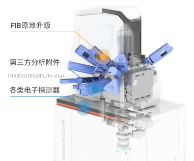 Услуга обновления FIB на месте.