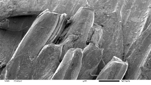 Анализ причин разрыва крана.