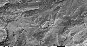 Анализ причин образования трещин на алюминиевых спицах автомобильного колеса.